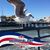Rose Fraga Munoz's profile image