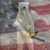 Kevin Whitbeck's profile image