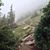 Cindy Finney Hahn's profile image