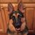 Rebecca Marie Greer's profile image