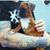Rich Morley's profile image