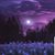 Joseph Jeffres's profile image
