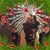 Amber Kemp's profile image