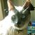 Terie Halaska Hunn's profile image