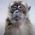 Victor Hugo Denis's profile image