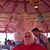 Barry Rhymer's profile image