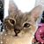 Susan Watson's profile image
