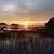 Lynn Hinnant's profile image