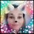 Priscilla Krueger's profile image