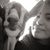 Geraldine Martos's profile image