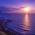 Roxana Calabrese's profile image