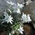 Doris Brown's profile image