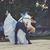 Andrea Symchuk's profile image