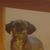 Robbin Nott's profile image