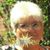 Lisa Groff's profile image