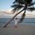 Matt Staudt's profile image