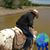 Fernando Solorio's profile image