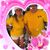 Tony Braunreiter's profile image