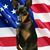 Kathryn Koziar's profile image