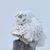 Teresa McDonald Bardwell's profile image