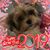 Anne Marie Kozanda Wells's profile image