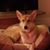 Stormie Brown's profile image