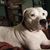 Janis Fitzgerald's profile image