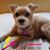 Tiffany Dugan's profile image
