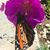 Stephanie Patchen-pilato's profile image