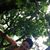 Sherry Weingartner Bittinger's profile image