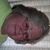 Nancy Dodson's profile image