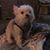 Stephanie Josephine Usrey's profile image