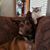 Buck Driver Taylor's profile image