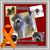 Desiree Herbaugh's profile image