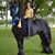 Angela Fazzio's profile image