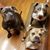 Lisa K. Miller- Welker's profile image