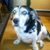 Janice Friedman-Snyder's profile image