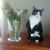 Merri Baltch's profile image