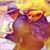 Daniel Paul Ouellette's profile image