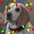 Emily Zeller's profile image