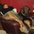 Andrea Stowell's profile image
