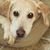 Nancy McGuigan's profile image