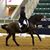 Ronnie Trotter's profile image