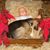 Bonnie Baker's profile image