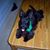Brandye Barnwell's profile image
