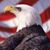 Mitch Tauber's profile image
