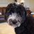 B.J. Kelly's profile image