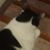 Mimo Miguel Pascale Aguirre's profile image