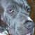 Vickie Miller's profile image