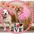 Deb Peretti's profile image